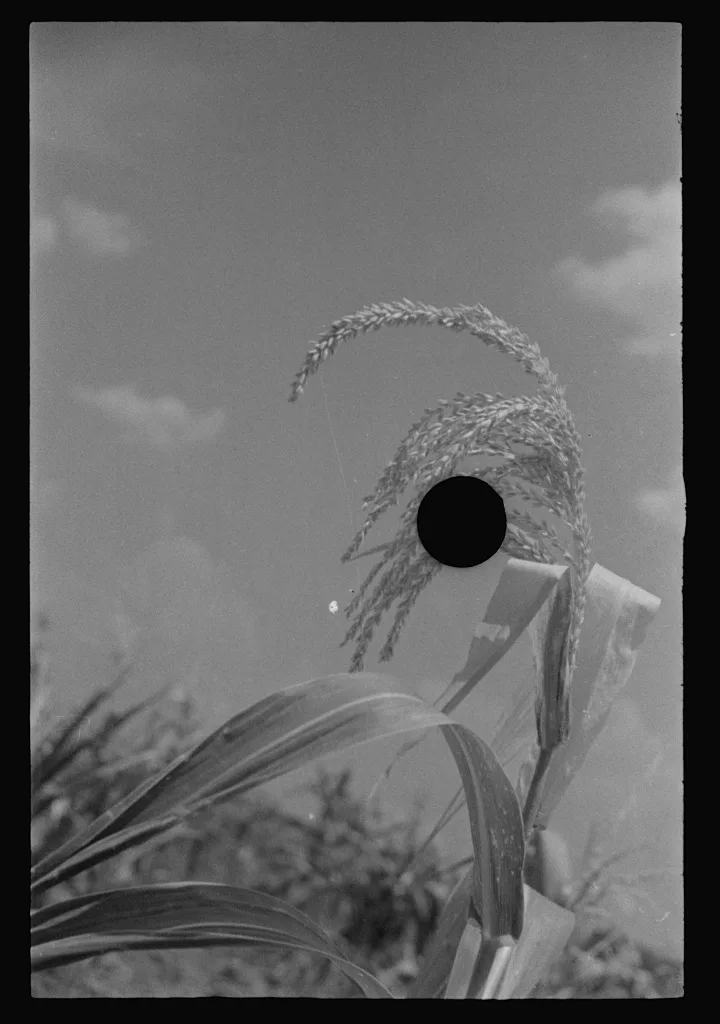 Bud and William Fields, Hale County, Alabama, 1936