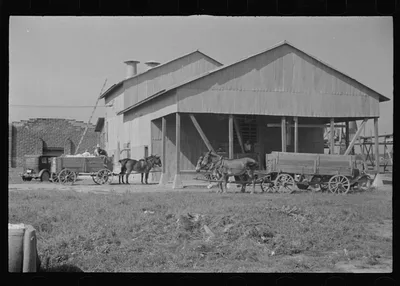 Cotton gin, Hale County, Alabama, 1936