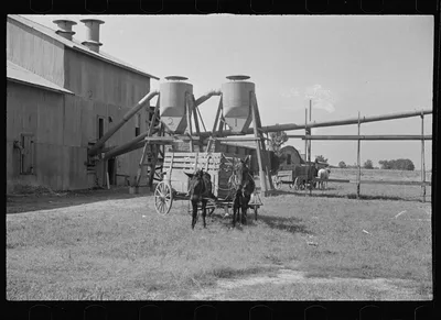 Cotton gin and wagons. Vicinity of Moundville, Alabama, 1936