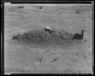 Sharecropper's grave. Hale County, Alabama, 1936
