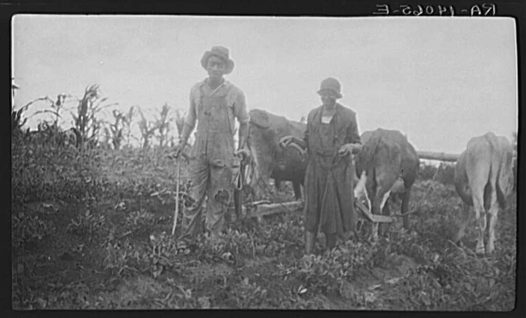 George Cook and his wife of Calhoun community. Lowndes County, Alabama, 1936